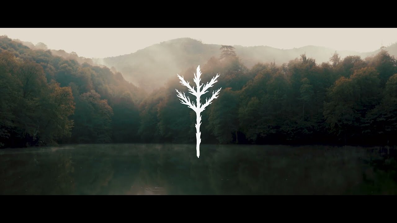 Quiet Observer - Tree Soul (feat. Fabis Tunes) (Lyrics Video)