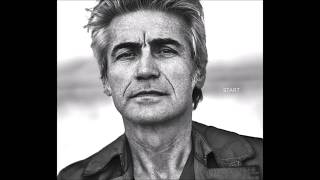 Ligabue - Certe donne brillano (con testo)