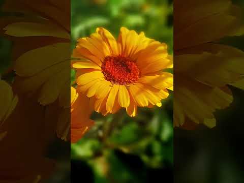 صدقة جارية لي ولكم 