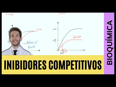 Vídeo: Por que a inibição não competitiva reduz o km?