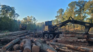 Logging the Uwharries 2