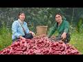 Catching chickens, harvesting apples and potatoes to sell at the market - 20 year old single mother