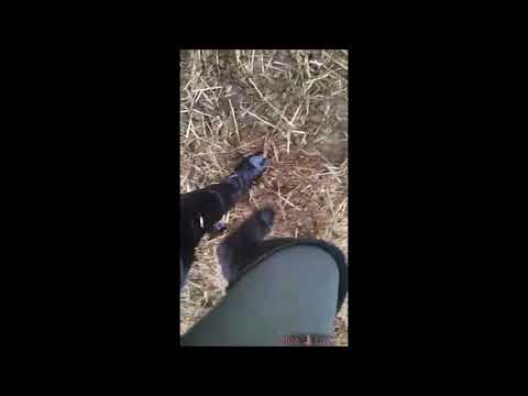 Muddy Boots Clip