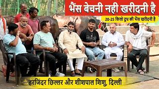 भैंस बेचनी नही 20-25 किलो दूध की भैंस खरीदनी है | Not For Sale! Looking To Buy 20-25 KG Milk Buffalo