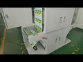 Vorey VP320C roll to roll label printer