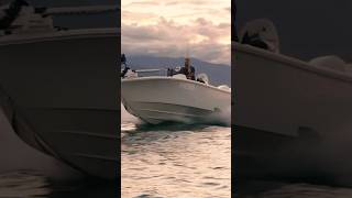 The Merino 6.8CC Hybrid