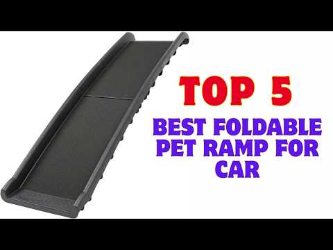 Best Car Ramp For Large Dogs