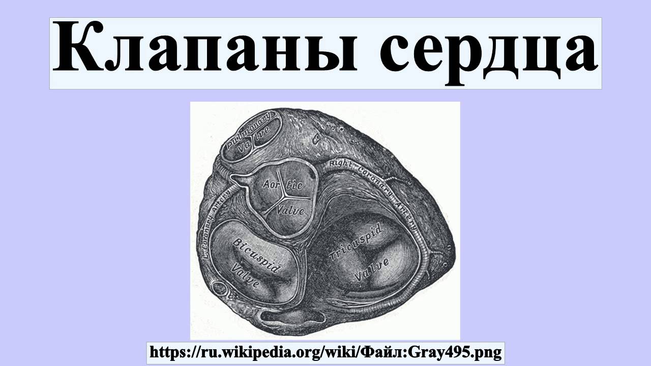 Почему клапана черные