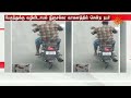 😍🥰காட்டு யானை மா மரத்தை உலுக்கிய அழகிய காட்சி! | Elephant Cute Video | Sun News