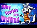 Why furries are disliked