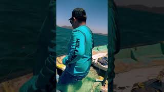 Si Venía O No? Ustedes Que Opinan