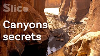 The Ennedi Massif: A Hidden Eden in the Sahara | SLICE