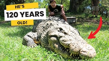 Meet HENRY: The 124-Year-Old GIANT Crocodile