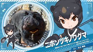 『けものフレンズ３』紹介PV ニホンツキノワグマ