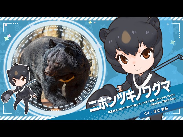 仲良し♡くまさん号&ひよこ号 Kemono Friends 3