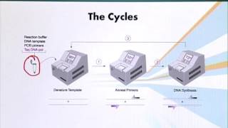 Topic 73 (BIO201 - Cell Biology)