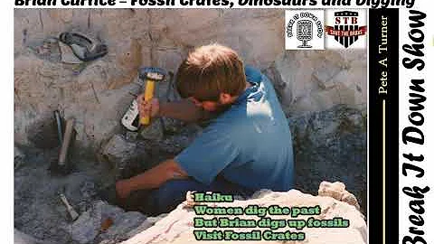 Brian Curtice  Fossil Crates, Dinosaurs and Digging