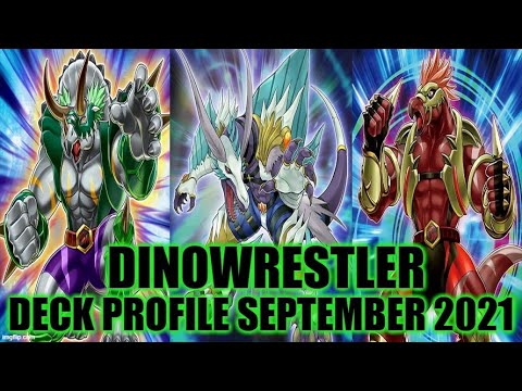 yugioh dinowrestler deck Amazon.com: Generic Complete Custom Deck for Yu-Gi-Oh! VRAINS