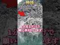 ⚠️神回※ 龍神さまにご縁があります!もし逃したら2度とないです※玉置神社御手洗池※