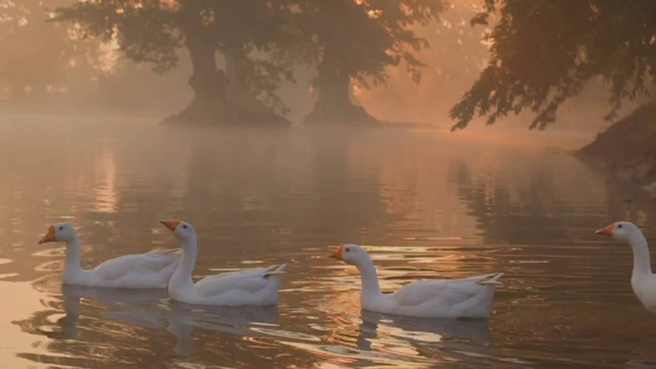 Chhattisgarh Tourism- Land Full of Surprises