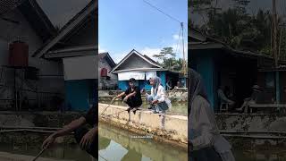 Senar Nilon Bingolife 300M #satukontentiaphari #senar #senarnilon #bingolife #laut #sungai