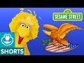 Sesame Street: The National Bird