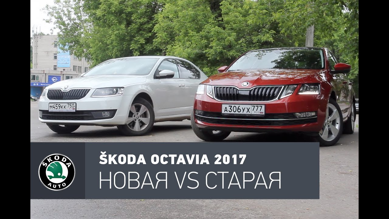 Шкода Октавия 2022 Тест Драйв Фото