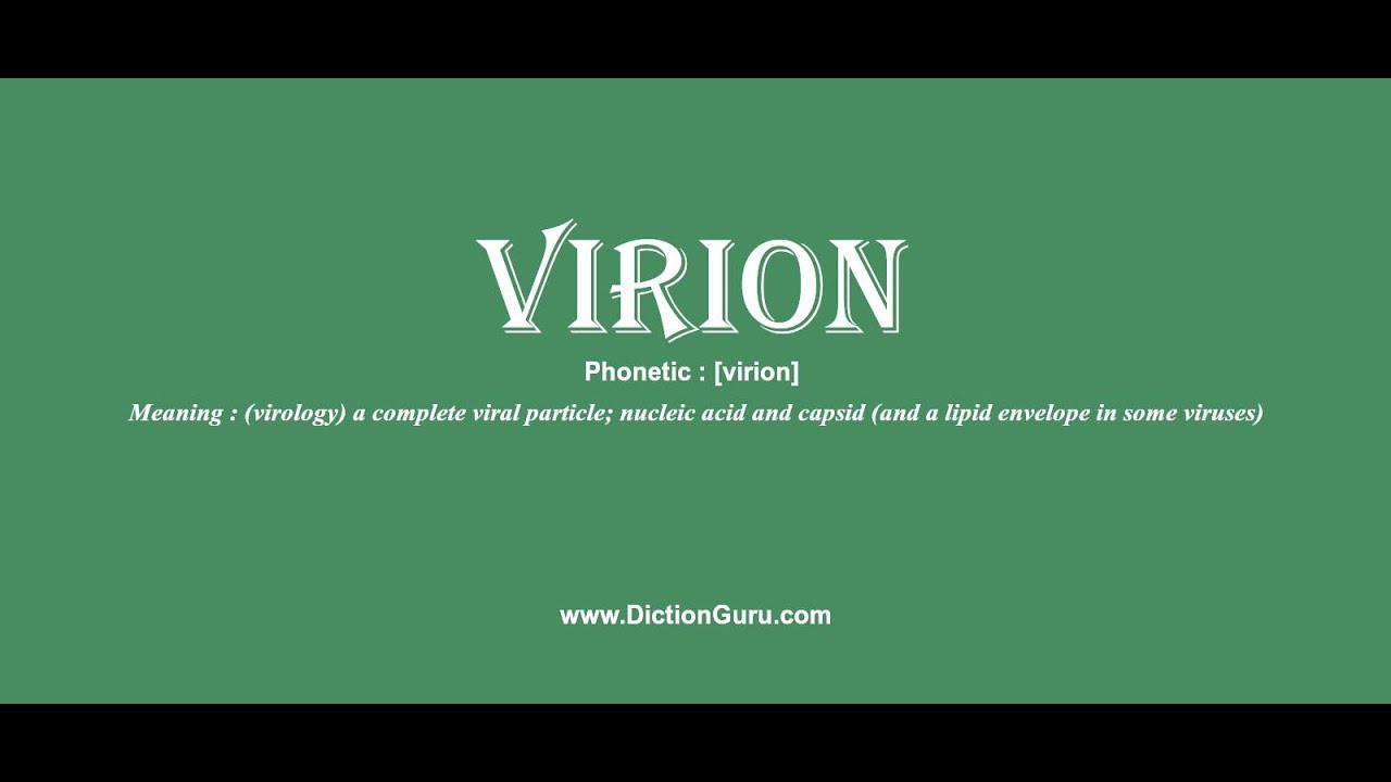 virion: Pronounce virion with Meaning, Phonetic, Synonyms and Sentence Examples