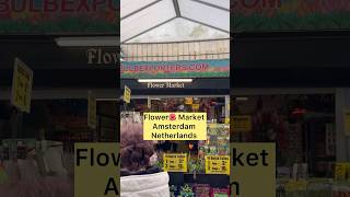 Flower🌼Market Amsterdam Netherlands  Bloemenmarkt the worlds only Floating Market Founded in1862