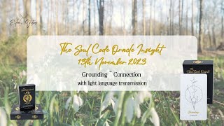 ✨The Soul Code Oracle Insight ✨13th November 2023 ✨ Grounding ~ Connection with light language