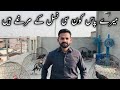 Aseel murga vlogs  mianwali aseel murga  sindhi aseel murga  amroha aseel