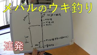 メバルのウキ釣りで連発 仕掛けも徹底解説 Youtube