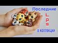 LPS / ПОСЛЕДНИЕ СОБАКИ из новой коллекции / Littlest pet shop