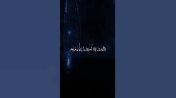 والذين لا يشهدون الزور وإذا مروا باللغو مروا كراماً   سورة الفرقان الآية 72 – محمد اللحيدان #قرآن