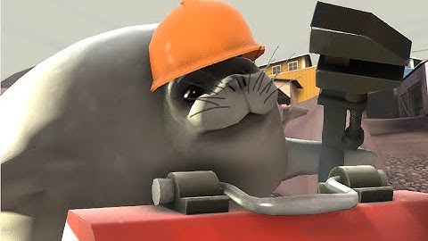 Tf2 Selbyen Exploit, Epic Ending