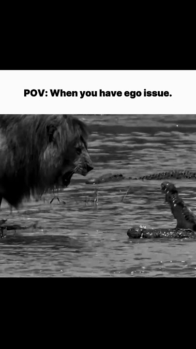 When you have ego issue! #trendingshorts #successmindset #motivational #ego #masculinity #lion #fyp