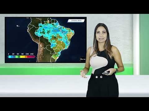 INTERVALOS DE CHUVA AMPLIAM DESAFIOS PARA PECUARISTAS NO CENTRO-NORTE DO BRASIL