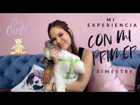 MI PRIMER TRIMESTRE - RECOMENDACIONES | Testa Rosa