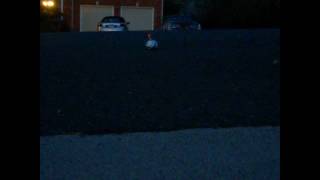 Smoke Bomb Compilation