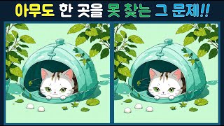 【다른그림찾기/치매예방】아무도 한 곳을 못 찾는 그 문제!!【틀린그림찾기/기억력향상/숨은그림찾기/Find the Difference】181