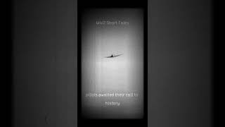 Flight of Valor: Fw 190 Remembrance (WW2 Documentary Footage)