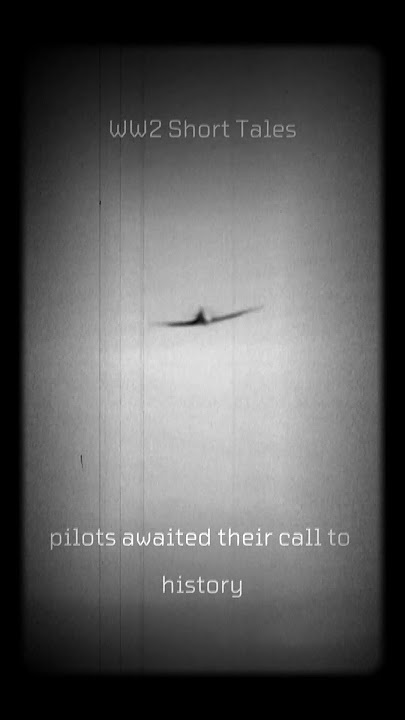 Flight of Valor: Fw 190 Remembrance (WW2 Documentary Footage)