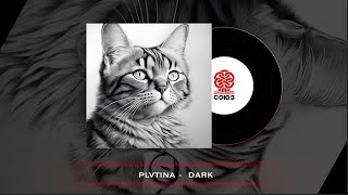 Plvtina - Dark (2024)