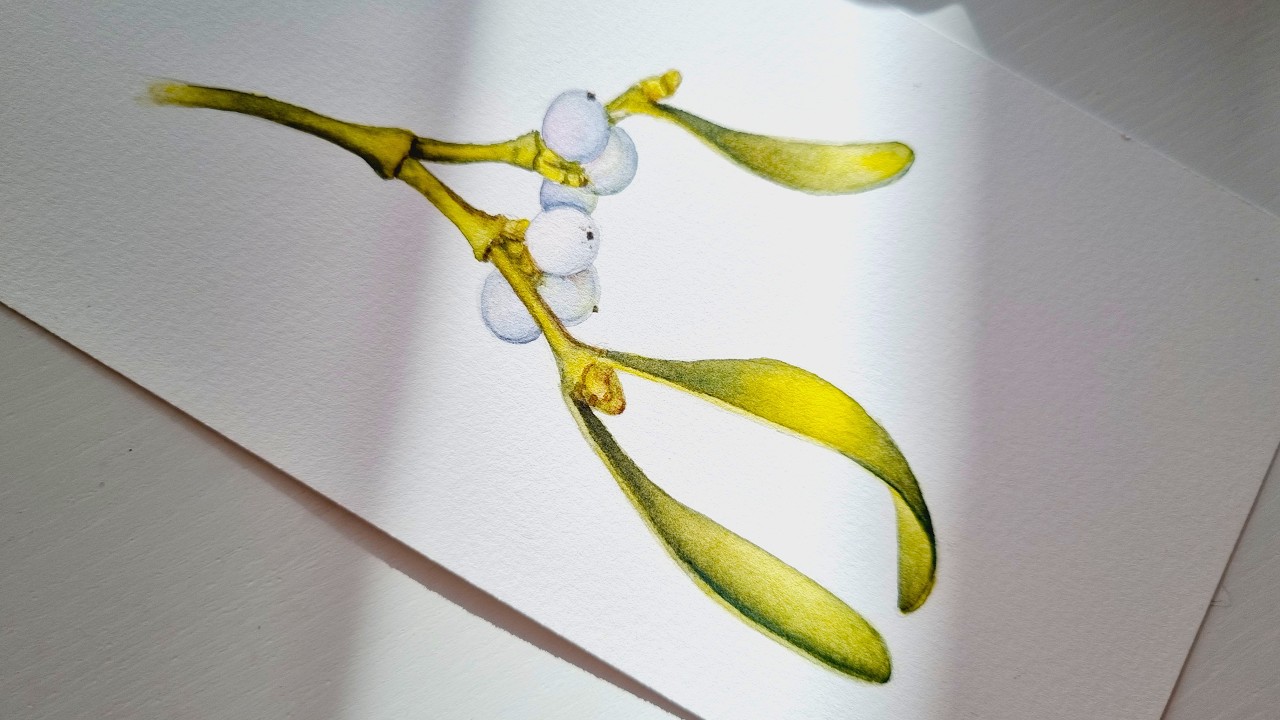 How to paint winter berries! White Berries Watercolor Tutorial: Mistletoe Branch Painting