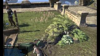 ESO: Frog Race
