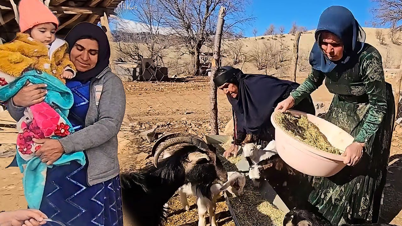 A Hard and Challenging Day for Fariba in Bone-Chilling Cold