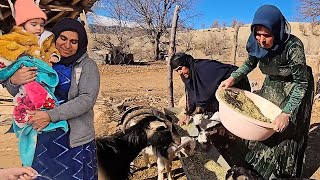 A Hard and Challenging Day for Fariba in Bone-Chilling Cold