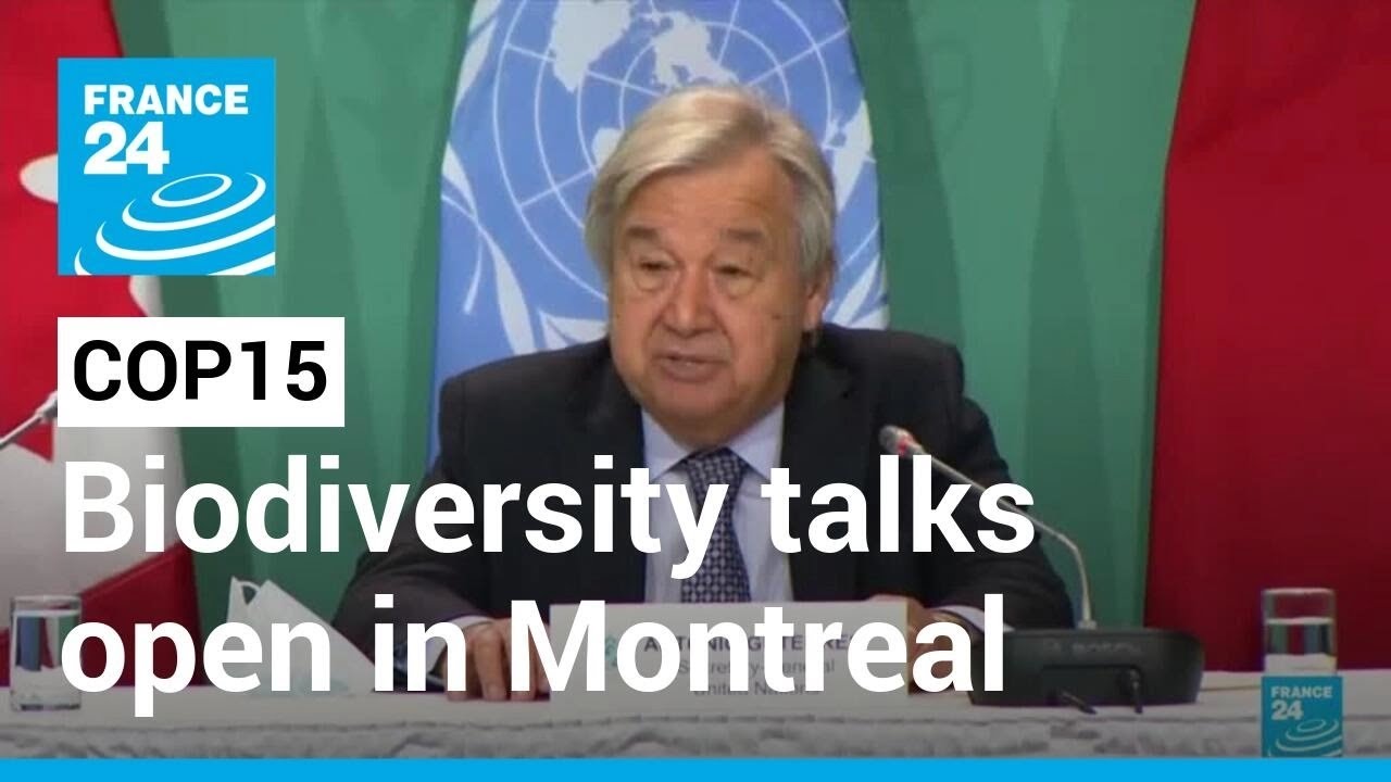 COP15: High-stakes UN biodiversity talks open in Montreal • FRANCE 24 ...