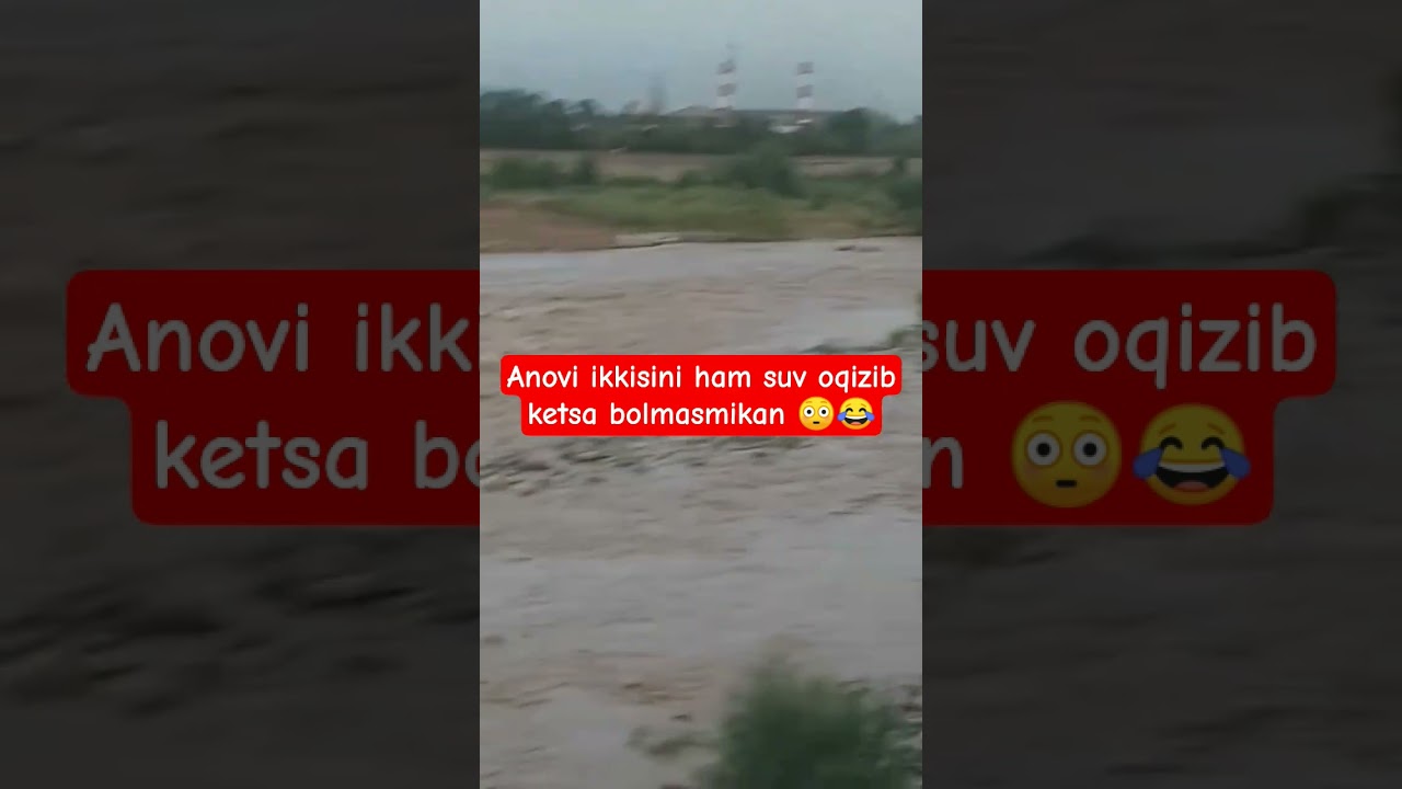 ‼️ SUV OQIZIB KETSA BOʻLMASMIDI ‼️ adlı videoyu YouTube'da izle ‼️ SUV OQIZIB KETSA BOʻLMASMIDI ‼️ adlı videoyu YouTube'da izle