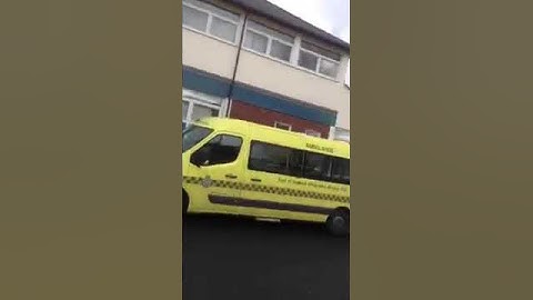 The clue is in the real pictures X X X